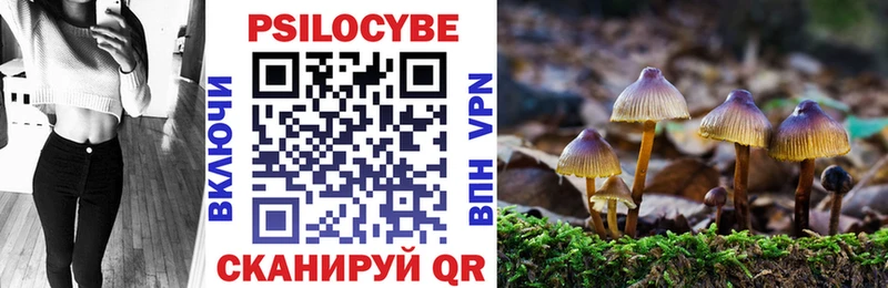 Псилоцибиновые грибы прущие грибы  блэк спрут ССЫЛКА  Дмитров 